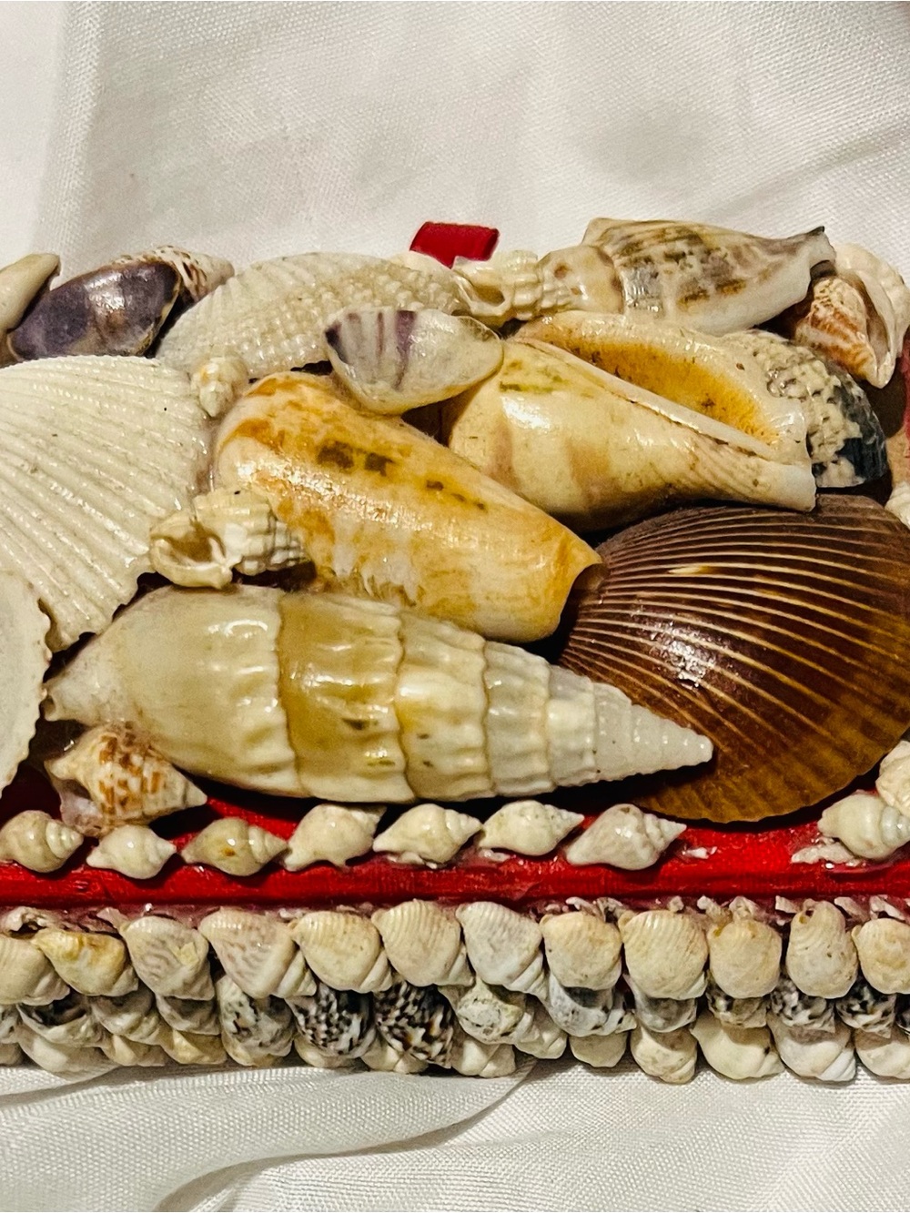 Shell-Embellished Decorative Box with Natural Tones